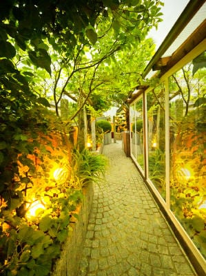 Landscape Lighting Santa Barbara- Private Garden