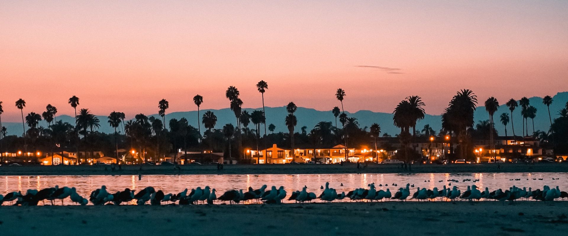 About Left Coast Electric